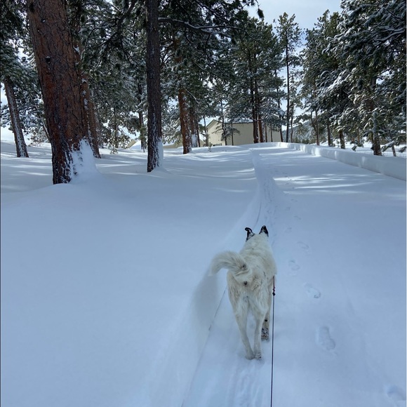 Meet your Posher, Jennifer - Picture 13 of 16